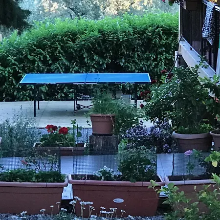 B&B Sei Cipressi-3